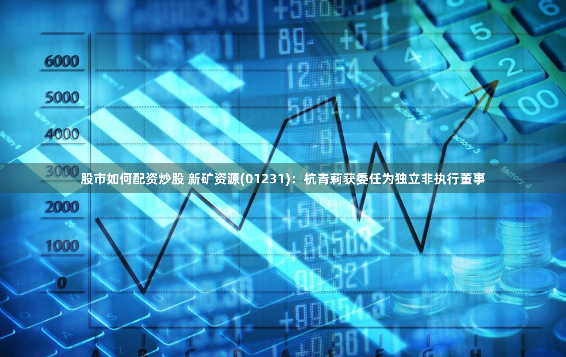 股市如何配资炒股 新矿资源(01231)：杭青莉获委任为独立非执行董事